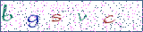 Type the letters shown in the picture