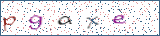 Type the letters shown in the picture
