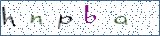 Type the letters shown in the picture