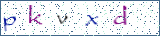 Type the letters shown in the picture