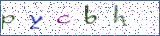 Type the letters shown in the picture