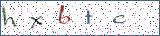 Type the letters shown in the picture