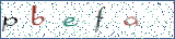 Type the letters shown in the picture