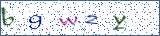 Type the letters shown in the picture