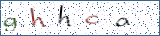 Type the letters shown in the picture