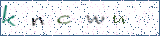 Type the letters shown in the picture