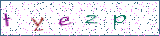 Type the letters shown in the picture