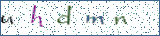 Type the letters shown in the picture