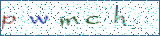 Type the letters shown in the picture