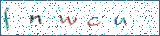 Type the letters shown in the picture