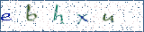 Type the letters shown in the picture
