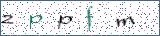 Type the letters shown in the picture
