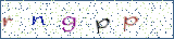 Type the letters shown in the picture