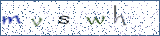 Type the letters shown in the picture