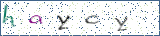 Type the letters shown in the picture