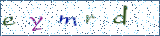 Type the letters shown in the picture