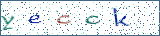 Type the letters shown in the picture