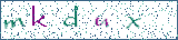 Type the letters shown in the picture