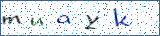 Type the letters shown in the picture