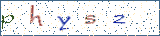 Type the letters shown in the picture