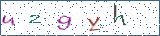 Type the letters shown in the picture