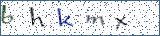 Type the letters shown in the picture