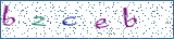 Type the letters shown in the picture