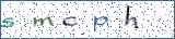 Type the letters shown in the picture