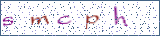 Type the letters shown in the picture