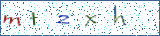 Type the letters shown in the picture