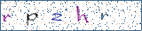 Type the letters shown in the picture