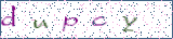 Type the letters shown in the picture