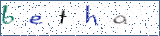 Type the letters shown in the picture