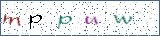 Type the letters shown in the picture
