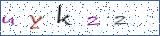 Type the letters shown in the picture