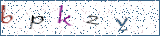 Type the letters shown in the picture