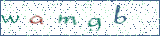 Type the letters shown in the picture