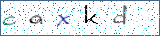 Type the letters shown in the picture