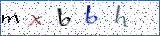 Type the letters shown in the picture
