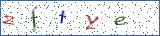 Type the letters shown in the picture