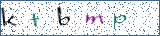Type the letters shown in the picture