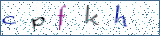 Type the letters shown in the picture