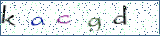 Type the letters shown in the picture