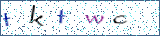 Type the letters shown in the picture