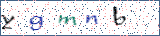 Type the letters shown in the picture
