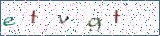 Type the letters shown in the picture