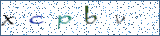 Type the letters shown in the picture