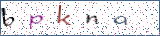 Type the letters shown in the picture