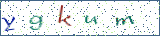 Type the letters shown in the picture