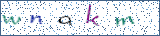 Type the letters shown in the picture